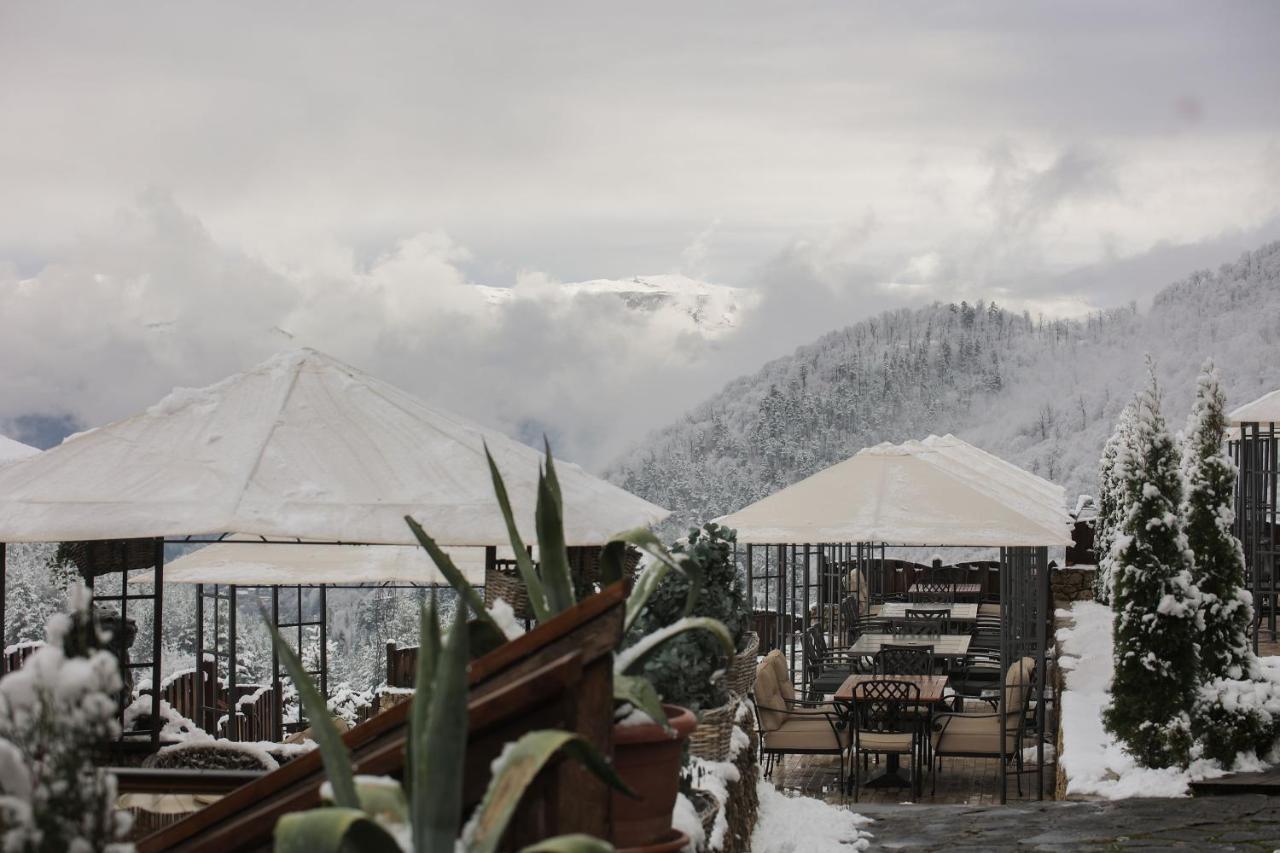 Alpine Castle Hotel 딜리잔 외부 사진