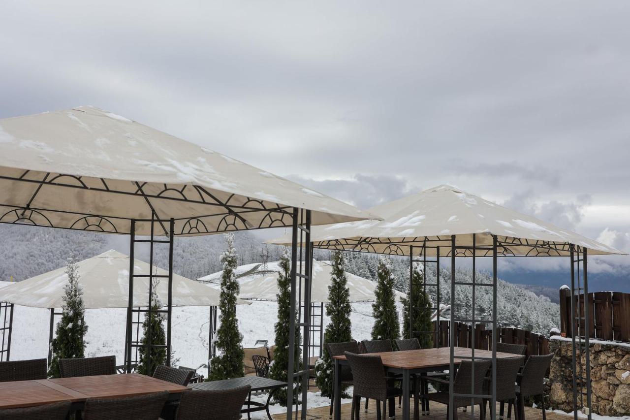Alpine Castle Hotel 딜리잔 외부 사진