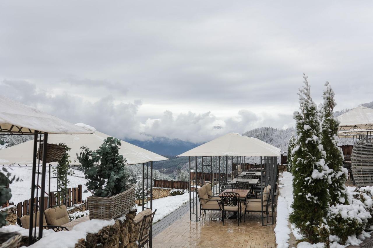 Alpine Castle Hotel 딜리잔 외부 사진
