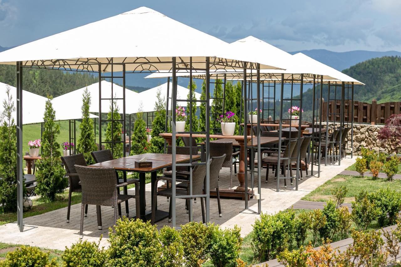 Alpine Castle Hotel 딜리잔 외부 사진