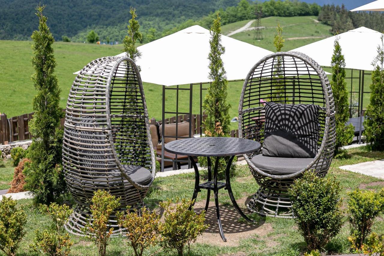 Alpine Castle Hotel 딜리잔 외부 사진