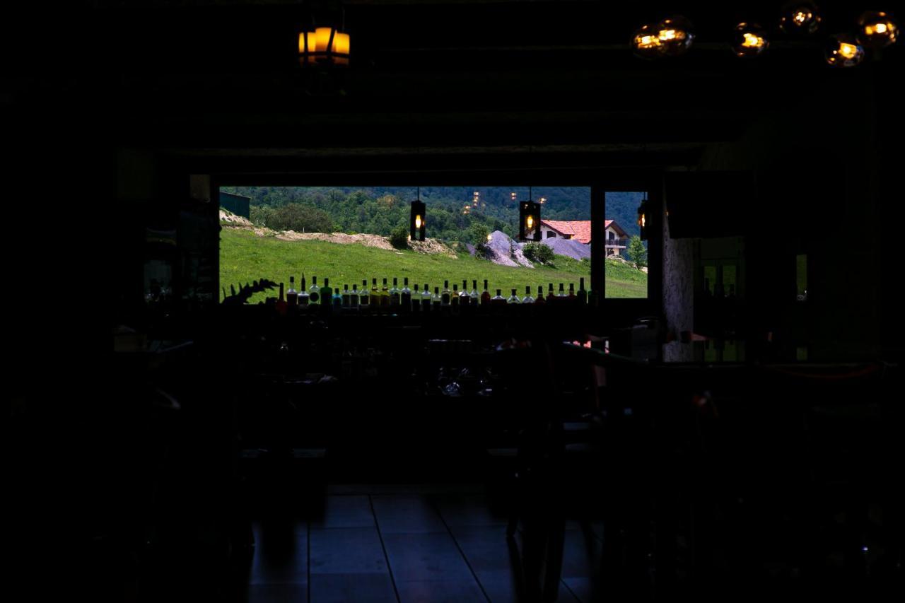 Alpine Castle Hotel 딜리잔 외부 사진