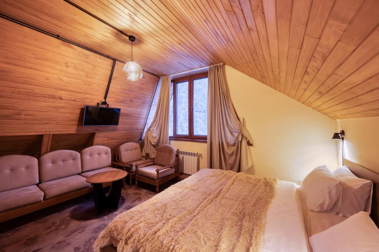 Alpine Castle Hotel 딜리잔 외부 사진