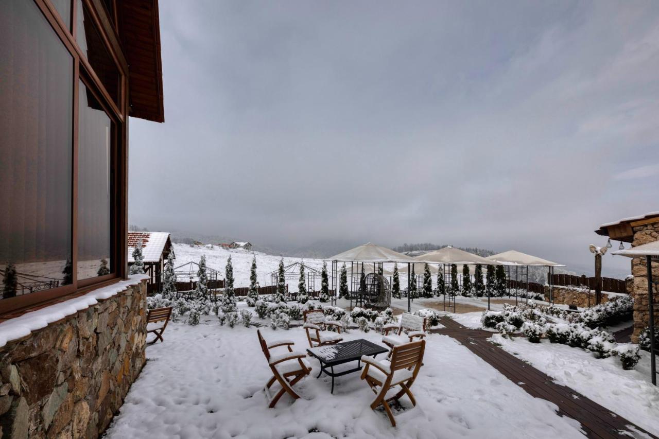 Alpine Castle Hotel 딜리잔 외부 사진