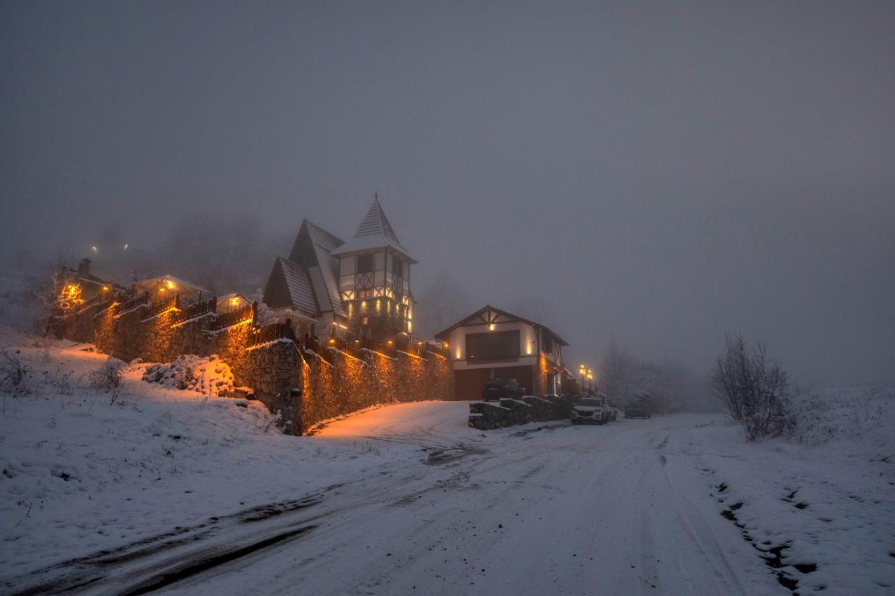 Alpine Castle Hotel 딜리잔 외부 사진