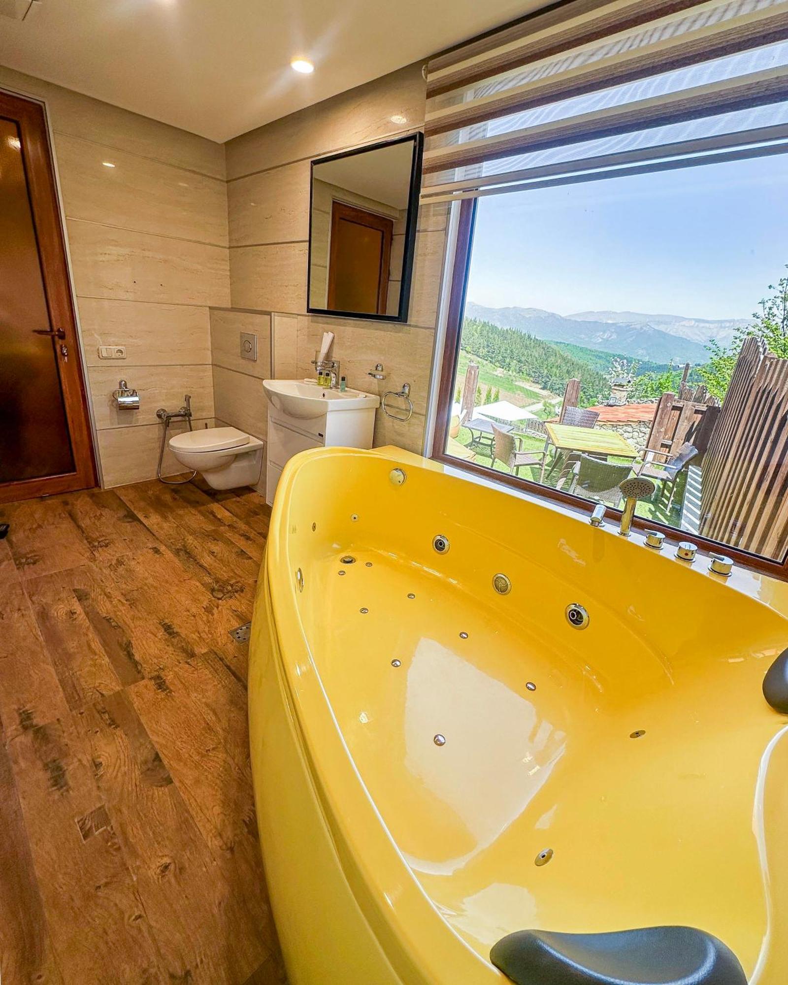 Alpine Castle Hotel 딜리잔 외부 사진