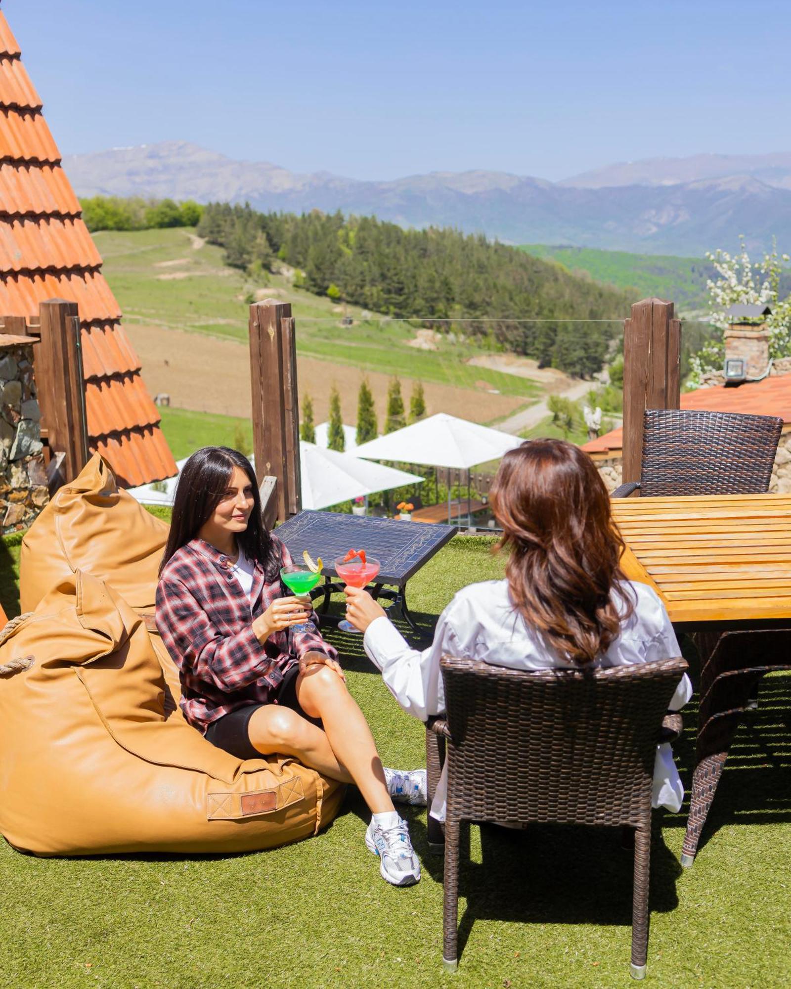 Alpine Castle Hotel 딜리잔 외부 사진