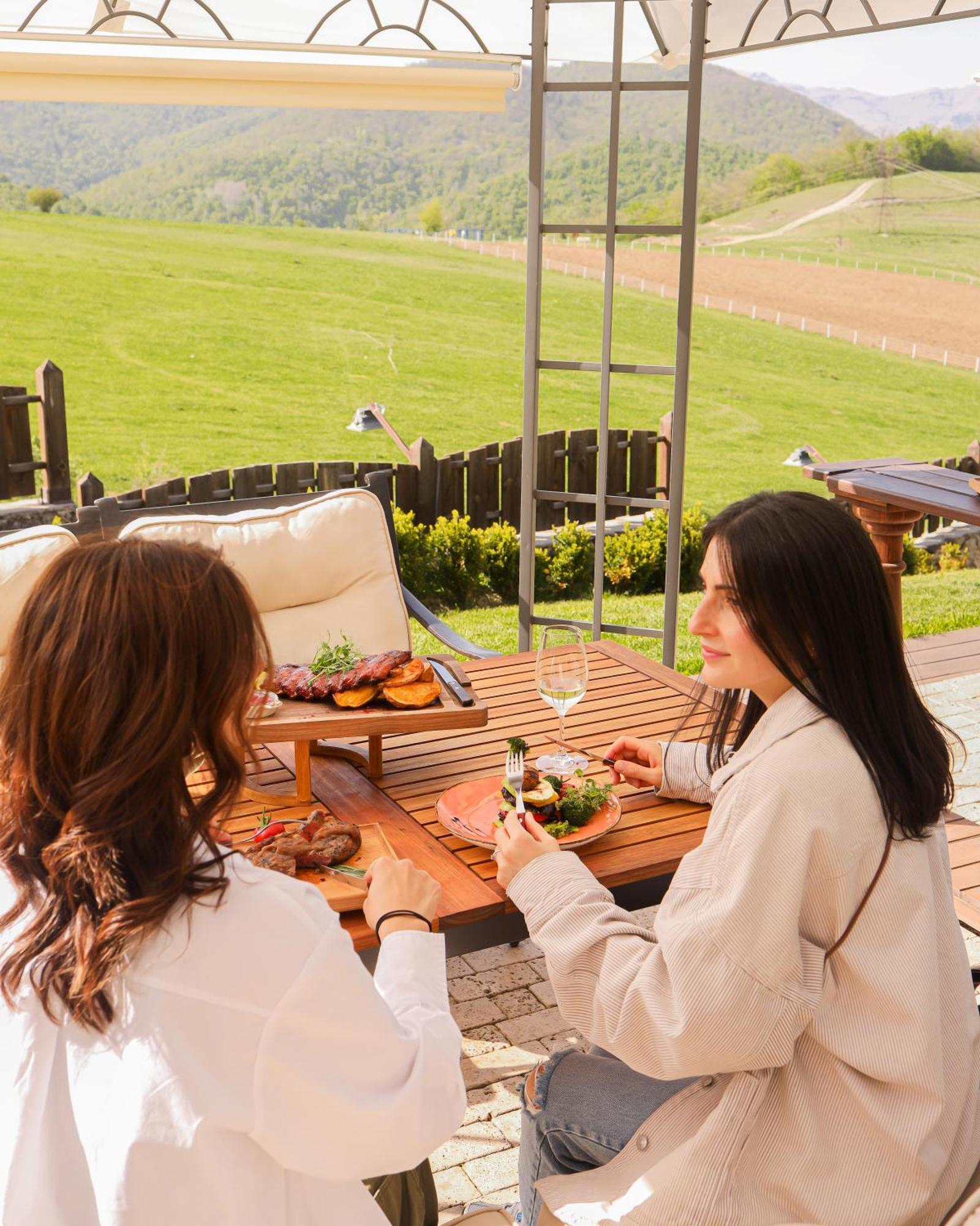 Alpine Castle Hotel 딜리잔 외부 사진